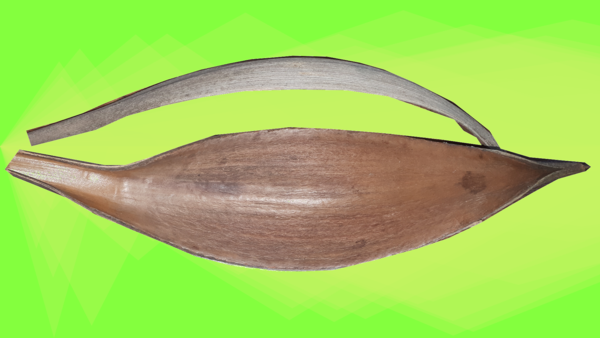 Kokospalmenblatt